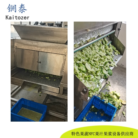 滚筒榨汁机23002