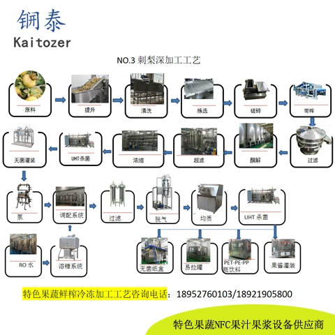 03刺梨金刺梨鲜榨冷冻果汁核心设备