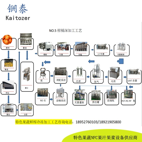 05橙子柑橘桔子鲜榨冷冻果汁核心设备