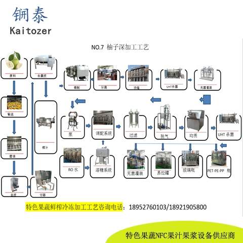 07柚子鲜榨冷冻果汁核心设备