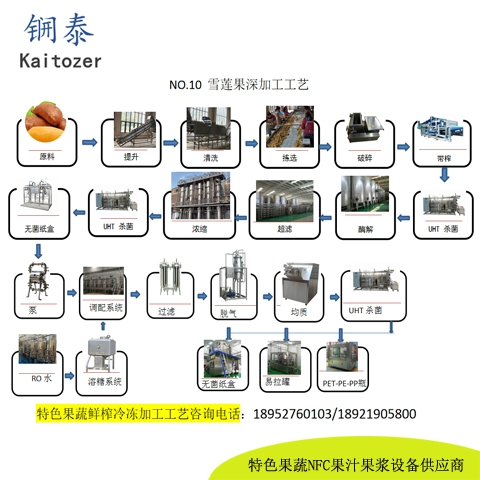10雪莲果鲜榨冷冻果汁核心设备