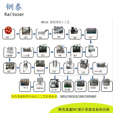 11番茄西红柿鲜榨冷冻果汁核心设备