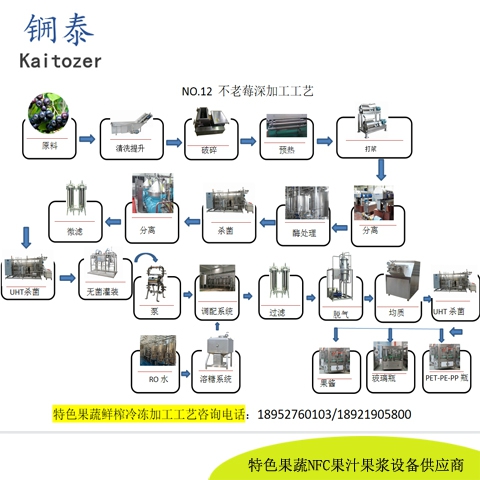 12不老莓鲜榨冷冻果汁核心设备