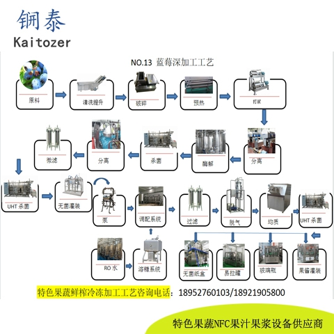 13蓝莓鲜榨冷冻果汁核心设备