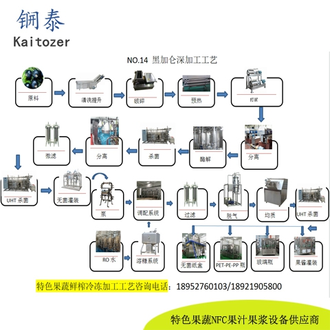 14黑加仑鲜榨冷冻果汁核心设备