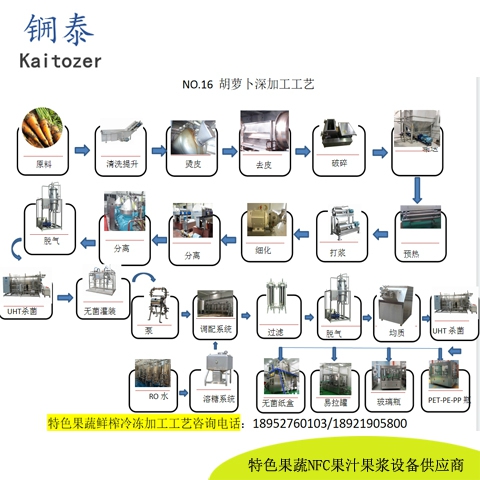 16胡萝卜鲜榨冷冻果浆核心设备