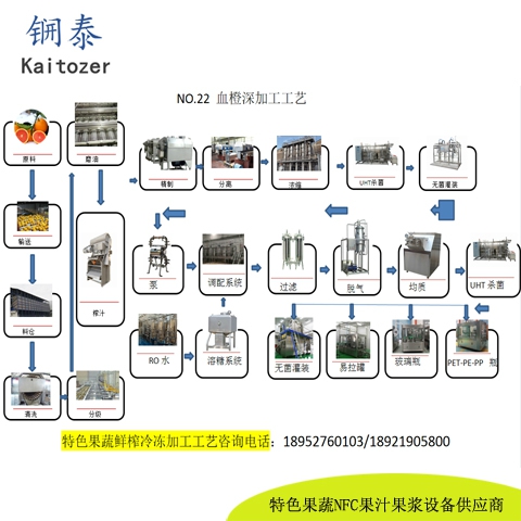 22血橙鲜榨冷冻果汁核心设备