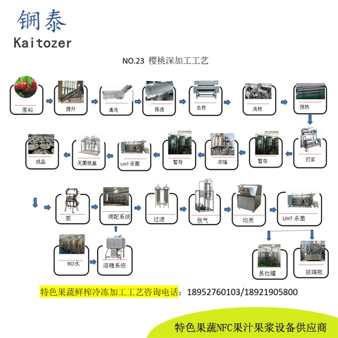 23樱桃鲜榨冷冻果汁核心设备