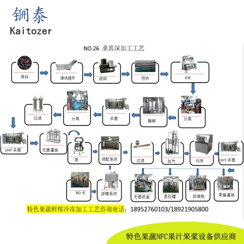 26桑葚鲜榨冷冻果汁核心设备