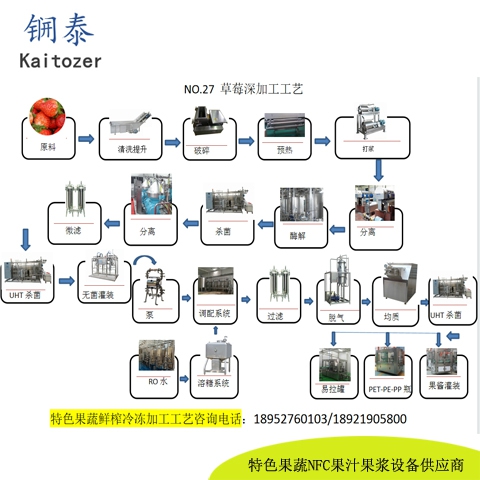 27草莓鲜榨冷冻果浆核心设备