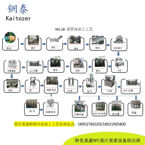 28菠萝鲜榨冷冻果汁核心设备