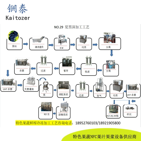 29夏黑葡萄鲜榨冷冻果汁核心设备