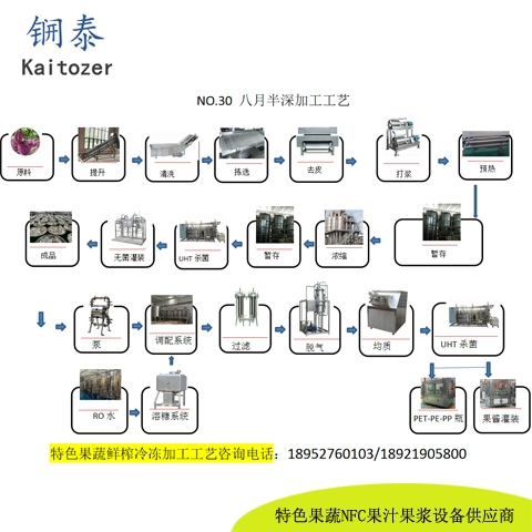 30八月瓜鲜榨冷冻果浆核心设备