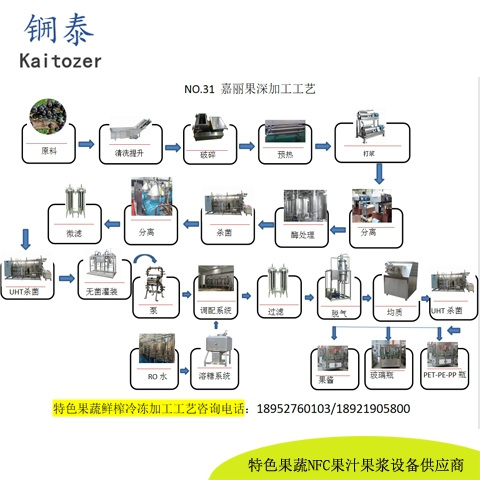 31嘉宝果鲜榨冷冻果浆核心设备