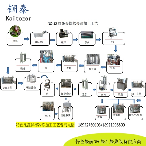 32红果参蜘蛛果鲜榨冷冻果浆核心设备