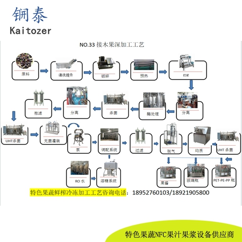 33接骨木果鲜榨冷冻果浆核心设备