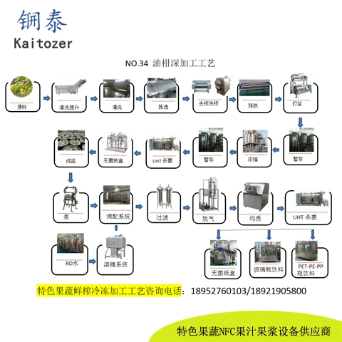 34油柑鲜榨冷冻果汁核心设备