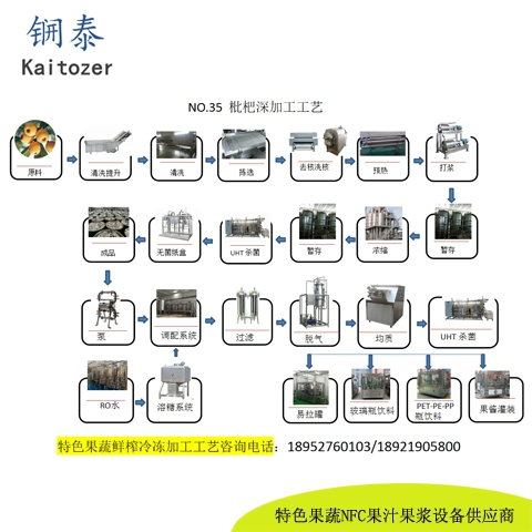 35枇杷鲜榨冷冻果浆核心设备