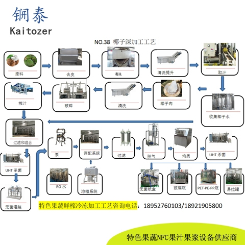 38椰子鲜榨冷冻果汁浆核心设备