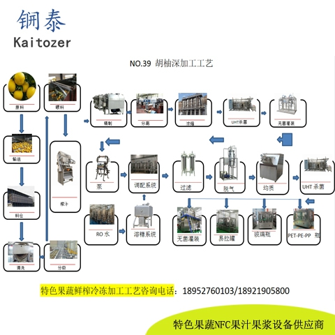39胡柚鲜榨冷冻果汁浆核心设备