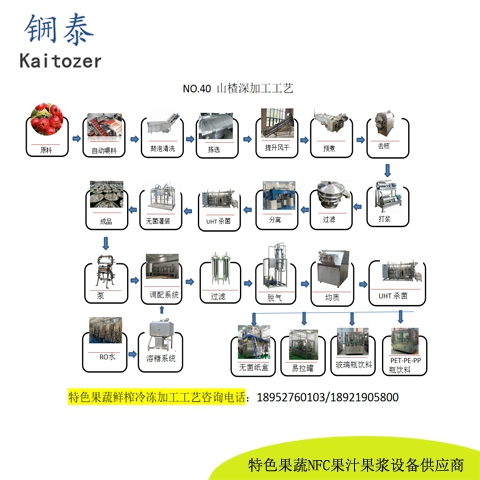 40山楂鲜榨冷冻果浆核心设备