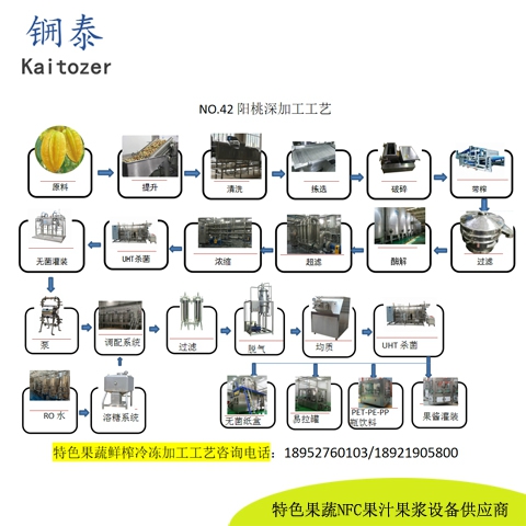42阳桃鲜榨冷冻果汁核心设备