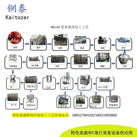 43莲雾果鲜榨冷冻果汁核心设备