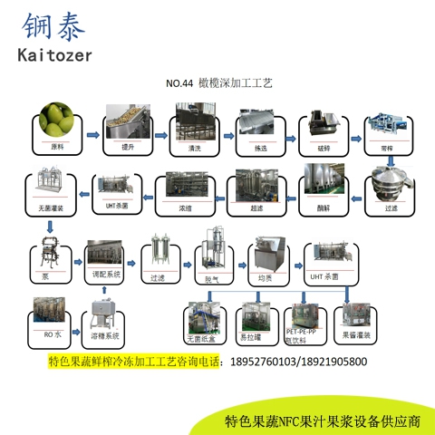44橄榄鲜榨冷冻果汁核心设备