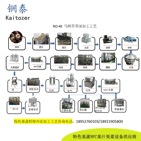 46马蹄荸荠鲜榨冷冻果汁核心设备