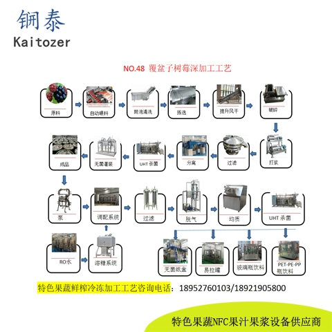 48覆盆子树莓鲜榨冷冻果浆核心设备