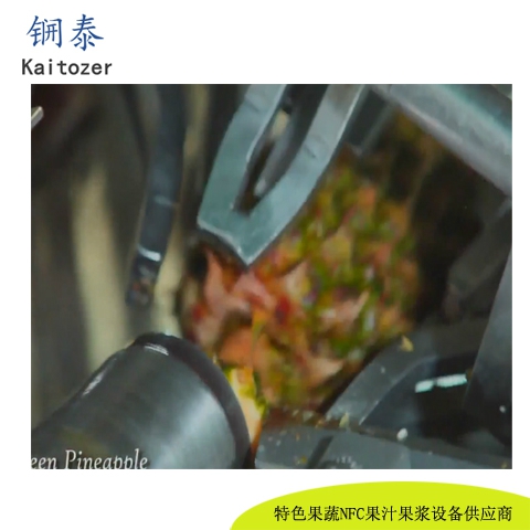 菠萝去皮设备